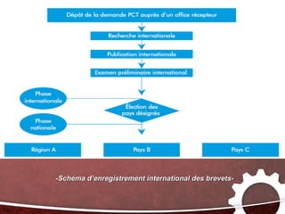 -Schéma d’enregistrement international des brevets-
 
