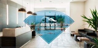 Презентация апарт-отеля Brevis (Сочи)