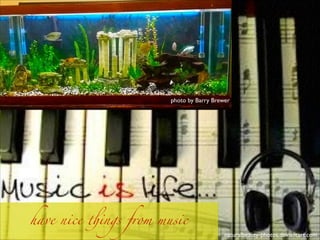 photo by Barry Brewer
have nice things from music
naturalbeauty-photos,deviantart.com