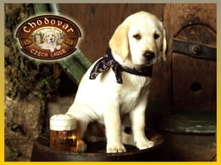 Cervejaria   Pivovara