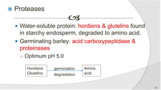 Proteases
 Water-soluble protein: hordiens & glutelins found
in starchy endosperm, degraded to amino acid.
 Germinating barley: acid carboxypeptidase &
proteinases
○ Optimum pH 5.0
Hordiens
Glutelins
Amino
acid
germination
degradation
10
 