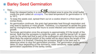  Barley Seed Germination
 Steps:
1) Keep the steeped barley in a ​cool, well ventilated area to grow the small leaflet
inside the grain called an acrospire. The ideal temperature for germination is 15°C
to 18°C.
2) To keep the seeds cool, spread them out on a cookie sheet in a thick layer (2+
inches thick).
3) As germination continues, the grain bed generates heat through respiration and
may lead to bacteria or mold growth. Therefore, it is important to aerate the grain
bed by mixing/turning every few hours to avoid infection and maintain consistent
growth.
4) Terminate germination once the acrospire is approximately 2/3 the length of the
kernel. Note that the acrospire is inside the grain, so split the kernel hull to open.
Look for the white leaf that is part of the endosperm and attached to the rootlets.
Most likely the external portion of the rootlet will be about twice the length of the
kernel when it is finished. Checking the acrospire length is the best way to
determine when to stop the germination process. The germination phase generally
takes 25 days depending on the dormancy, water sensitivity, water uptake,
germination capabilities of the barley variety.
20
 
