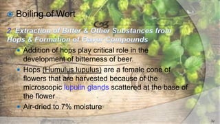  Boiling of Wort
2.
 Addition of hops play critical role in the
development of bitterness of beer.
 Hops (Humulus lupulus) are a female cone of
flowers that are harvested because of the
microscopic lupulin glands scattered at the base of
the flower
 Air-dried to 7% moisture
32
 