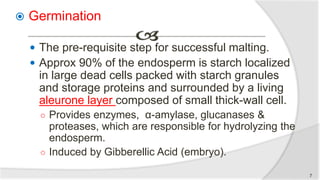  Germination
 The pre-requisite step for successful malting.
 Approx 90% of the endosperm is starch localized
in large dead cells packed with starch granules
and storage proteins and surrounded by a living
aleurone layer composed of small thick-wall cell.
○ Provides enzymes, α-amylase, glucanases &
proteases, which are responsible for hydrolyzing the
endosperm.
○ Induced by Gibberellic Acid (embryo).
7
 