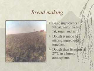 Bread Introduction Brewing And Baking | PPT