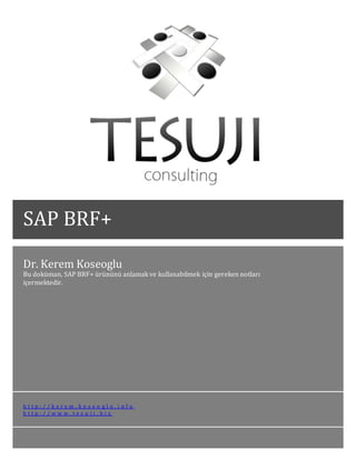 Dr. Kerem Koseoglu
Bu doküman, SAP BRF+ ürününü anlamak ve kullanabilmek için gereken notları
içermektedir.
h t t p : / / k e r e m . k o s e o g l u . i n f o
h t t p : / / w w w . t e s u j i . b i z
SAP BRF+
 
