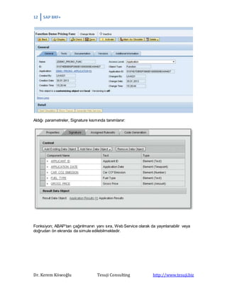 12 SAP BRF+
Dr. Kerem Köseoğlu Tesuji Consulting http://www.tesuji.biz
Aldığı parametreler, Signature kısmında tanımlanır:
Fonksiyon; ABAP’tan çağırılmanın yanı sıra, Web Service olarak da yayınlanabilir veya
doğrudan ön ekranda da simule edilebilmektedir.
 