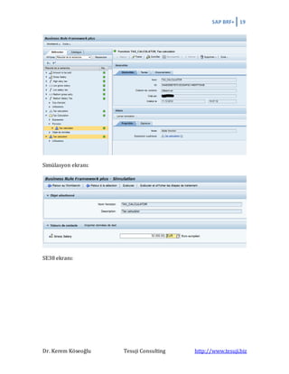SAP BRF+ 19
Dr. Kerem Köseoğlu Tesuji Consulting http://www.tesuji.biz
Simülasyon ekranı:
SE38 ekranı:
 