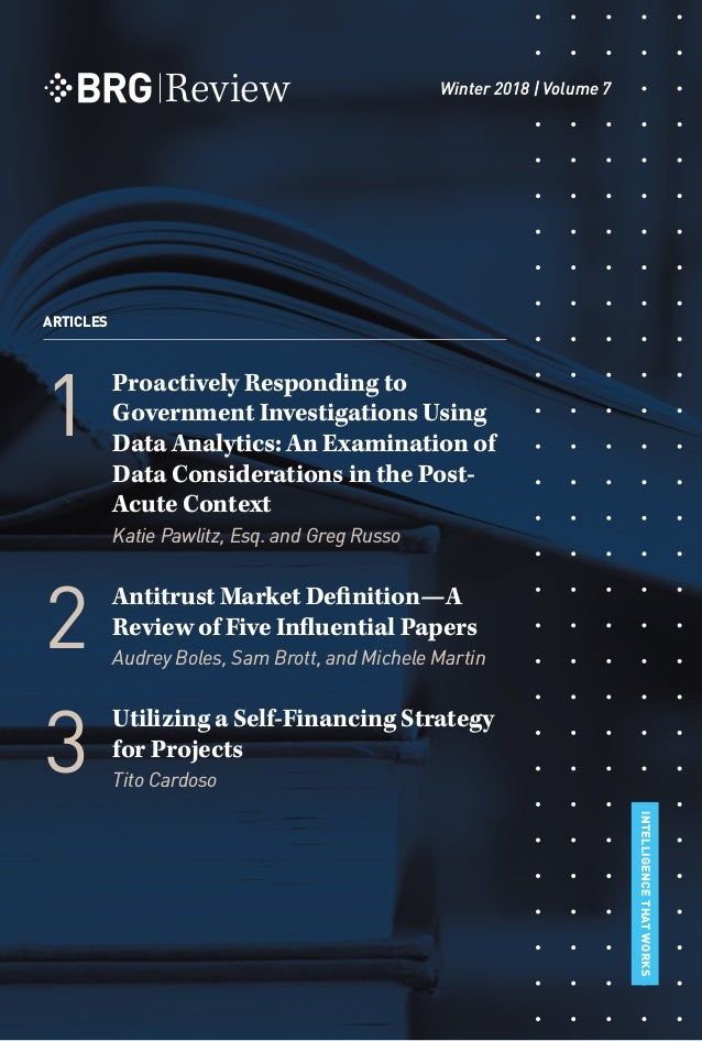Utilizing A Self Financing Strategy For Projects Brg
