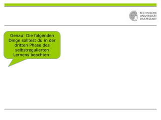 Genau! Die folgenden
Dinge solltest du in der
dritten Phase des
selbstregulierten
Lernens beachten:
 