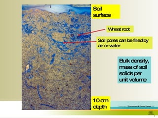 Soil surface 10 cm depth Wheat root Bulk density, mass of soil solids per unit volume Soil pores can be filled by air or water 