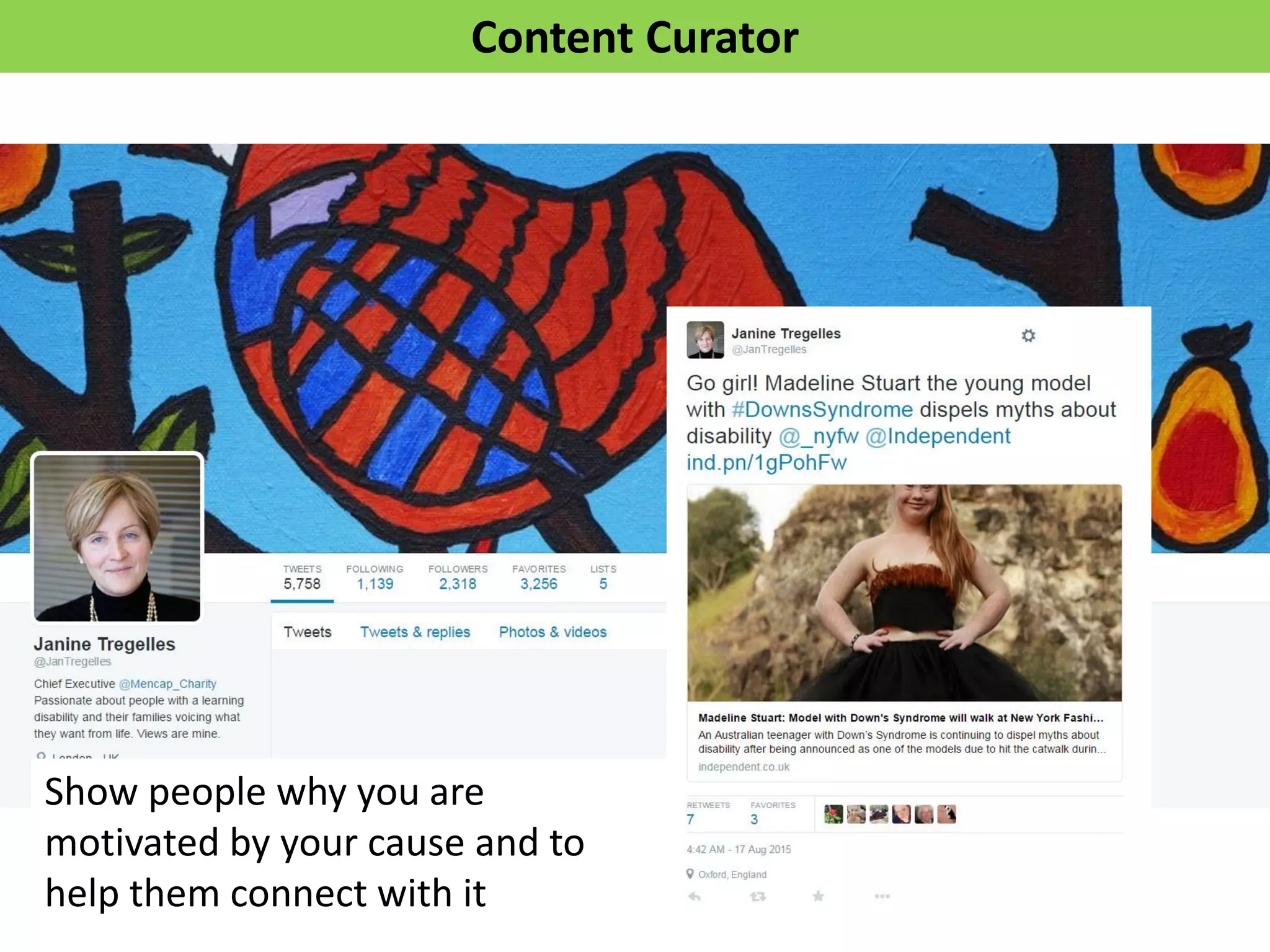 Content Curator
Show people why you are
motivated by your cause and to
help them connect with it
 