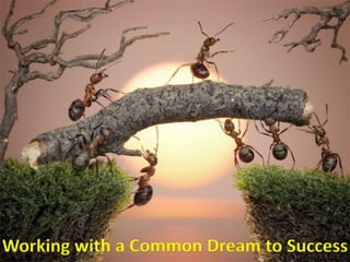 Working with a Common Dream to Success
 