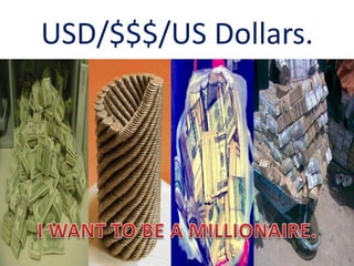 USD/$$$/US Dollars.
 