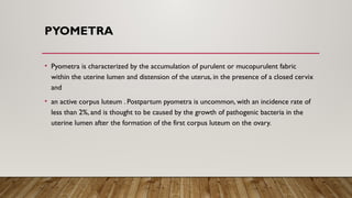 Anatomy and physiology of the female reproductive system | PPTX