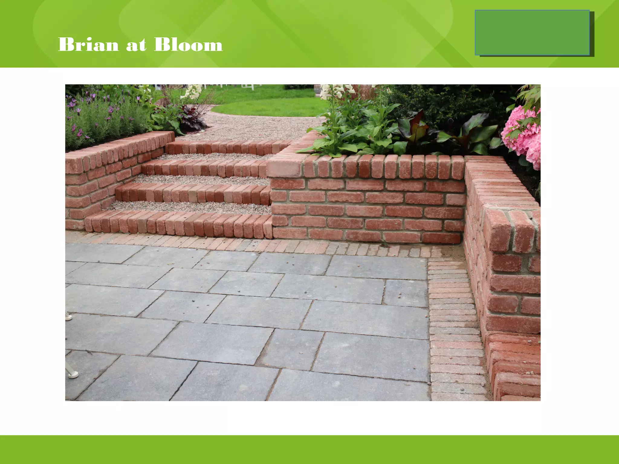 Brian bloom | PPT | Science