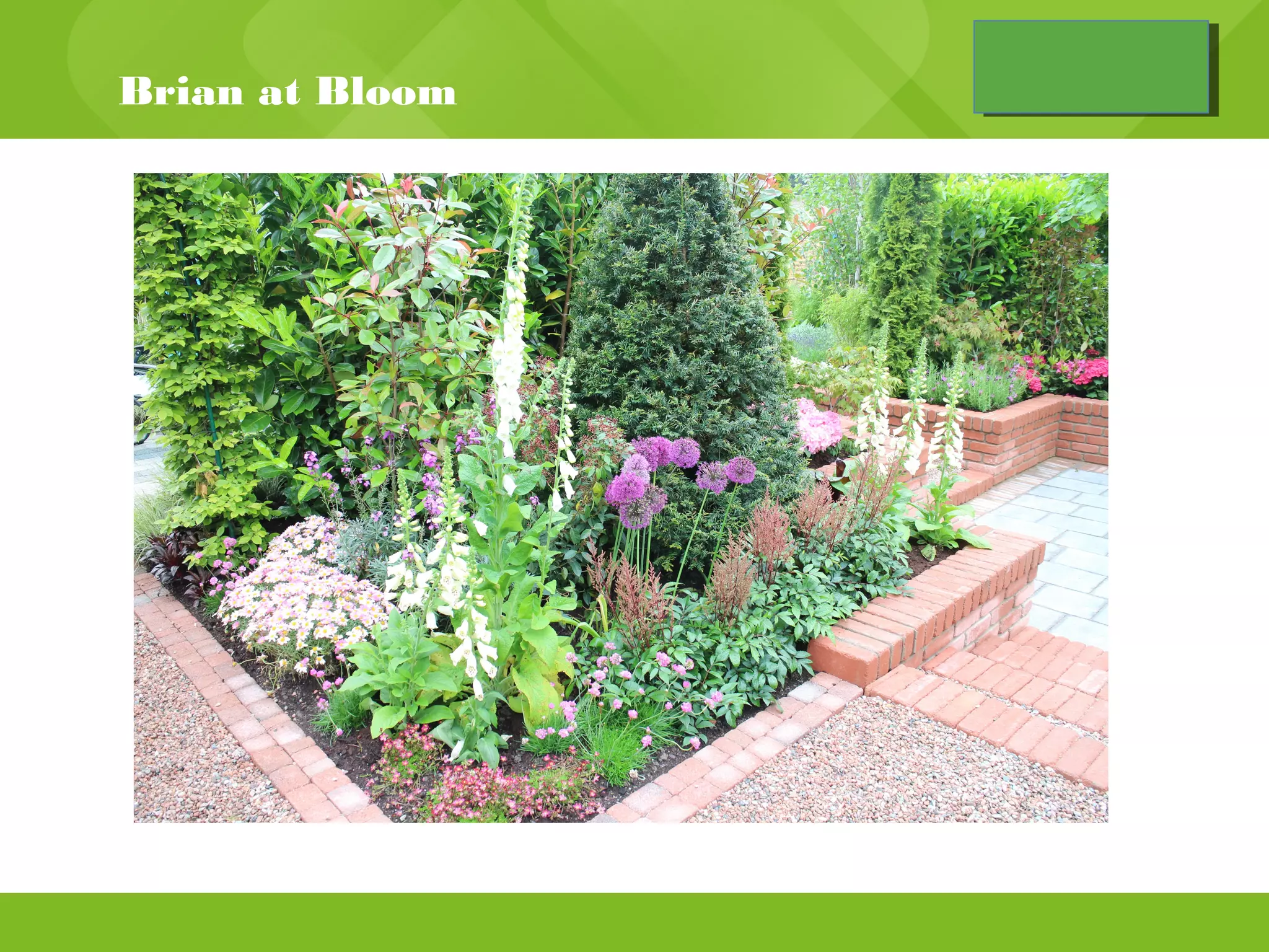 Brian bloom | PPT | Science