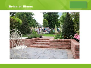Brian bloom | PPT | Science