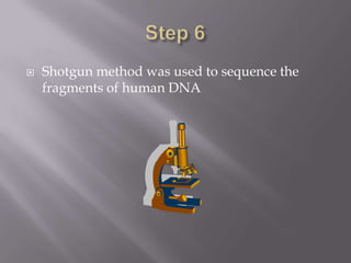  Shotgun method was used to sequence the
fragments of human DNA