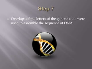  Overlaps of the letters of the genetic code were
used to assemble the sequence of DNA
