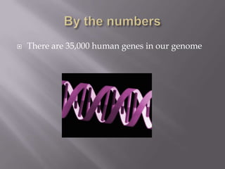    There are 35,000 human genes in our genome
 
