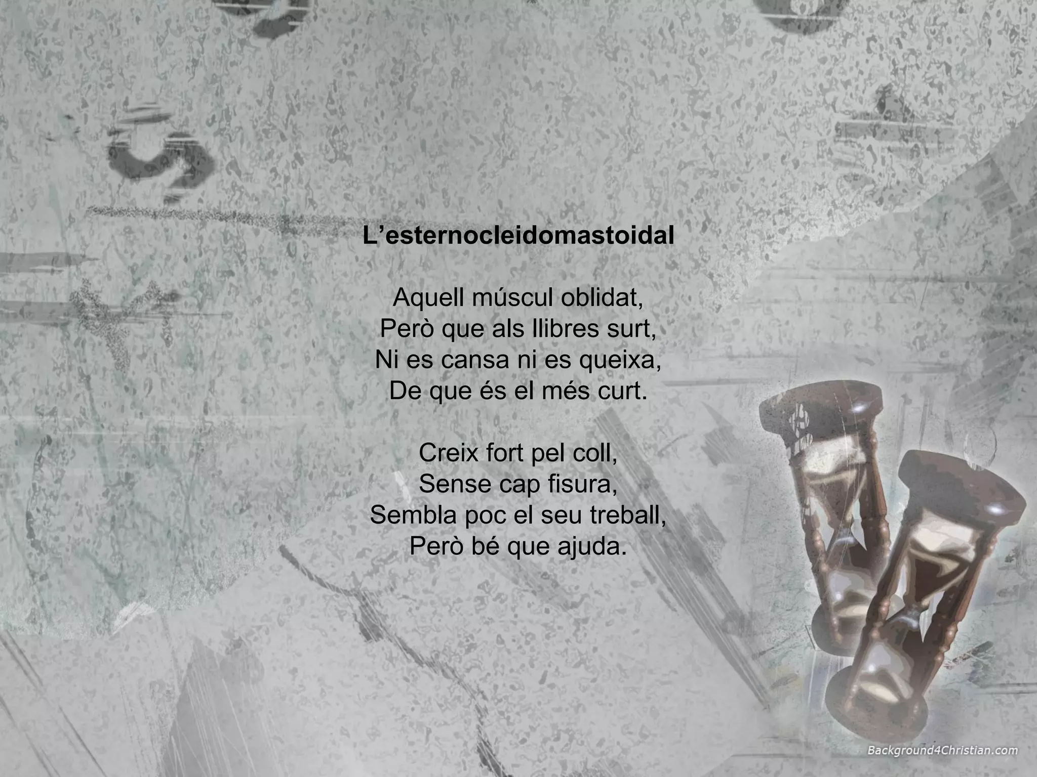 L’esternocleidomastoidal Aquell múscul oblidat, Però que als llibres surt, Ni es cansa ni es queixa, De que és el més curt. Creix fort pel coll, Sense cap fisura, Sembla poc el seu treball, Però bé que ajuda. 