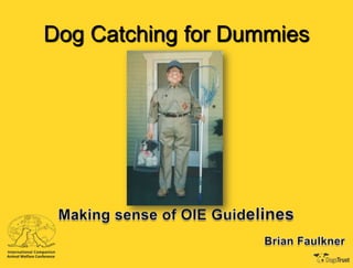 Dog Catching for Dummies
 