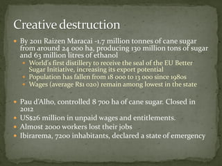 By 2011 Raizen Maracai -1.7 million tonnes of cane sugar
from around 24 000 ha, producing 130 million tons of sugar
and 63 million litres of ethanol
 World’s first distillery to receive the seal of the EU Better
Sugar Initiative, increasing its export potential
 Population has fallen from 18 000 to 13 000 since 1980s
 Wages (average R$1 020) remain among lowest in the state
 Pau d’Alho, controlled 8 700 ha of cane sugar. Closed in
2012
 US$26 million in unpaid wages and entitlements.
 Almost 2000 workers lost their jobs
 Ibirarema, 7200 inhabitants, declared a state of emergency
 