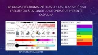 LAS ONDAS ELECTROMAGNÉTICAS SE CLASIFICAN SEGÚN SU
FRECUENCIA & LA LONGITUD DE ONDA QUE PRESENTE
CADA UNA
ESPECTRO ELECTROMAGNETICO
 