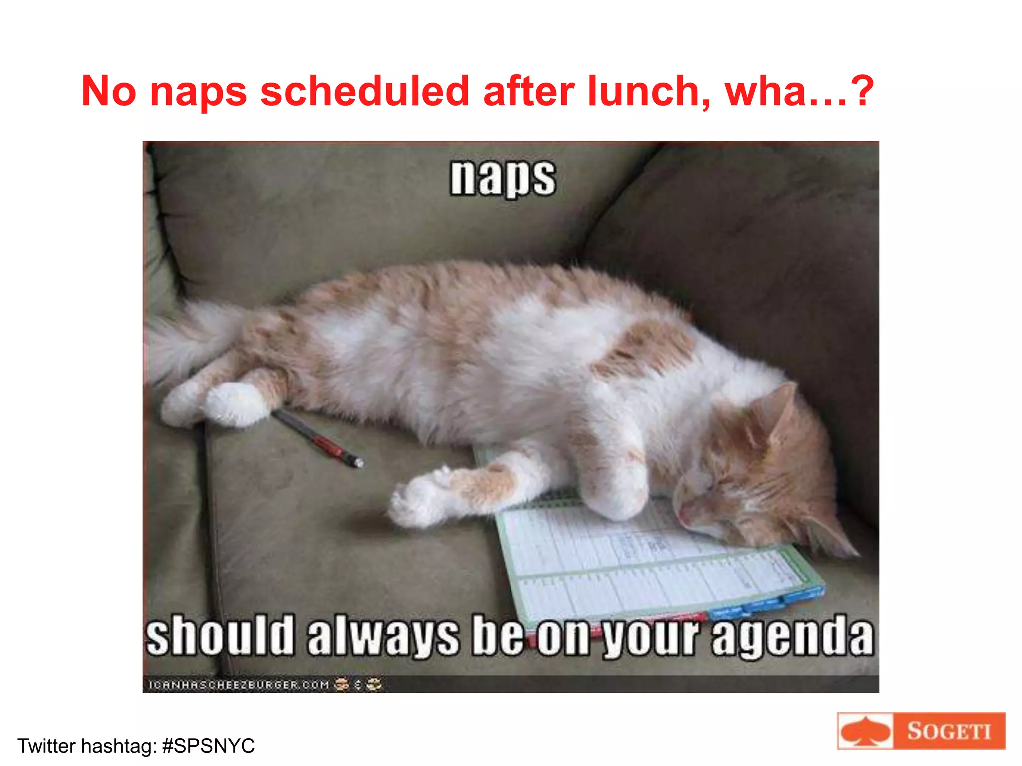 Microsoft BI and Collaboration Lead