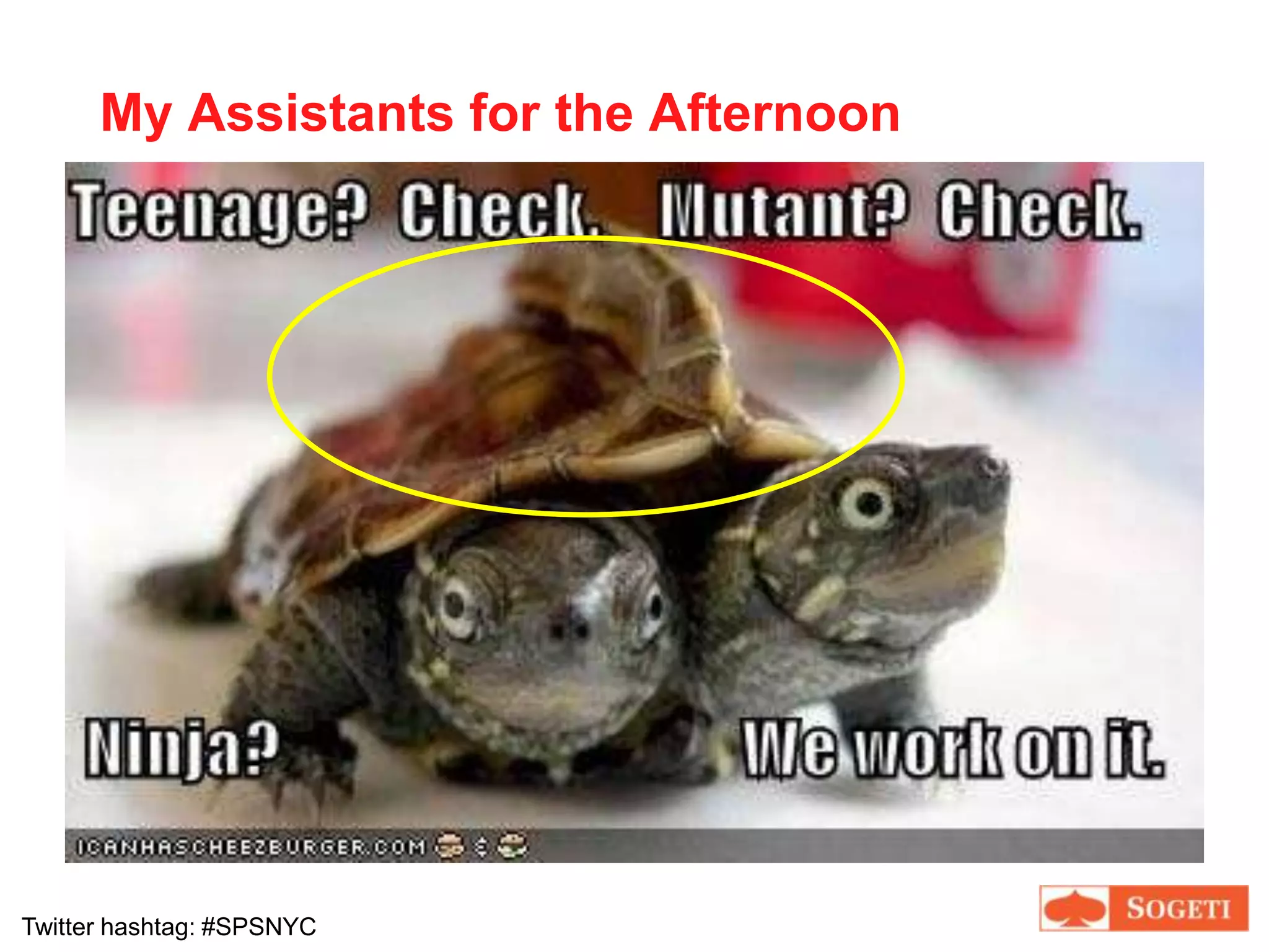 Frog loverNo naps scheduled after lunch, wha…?