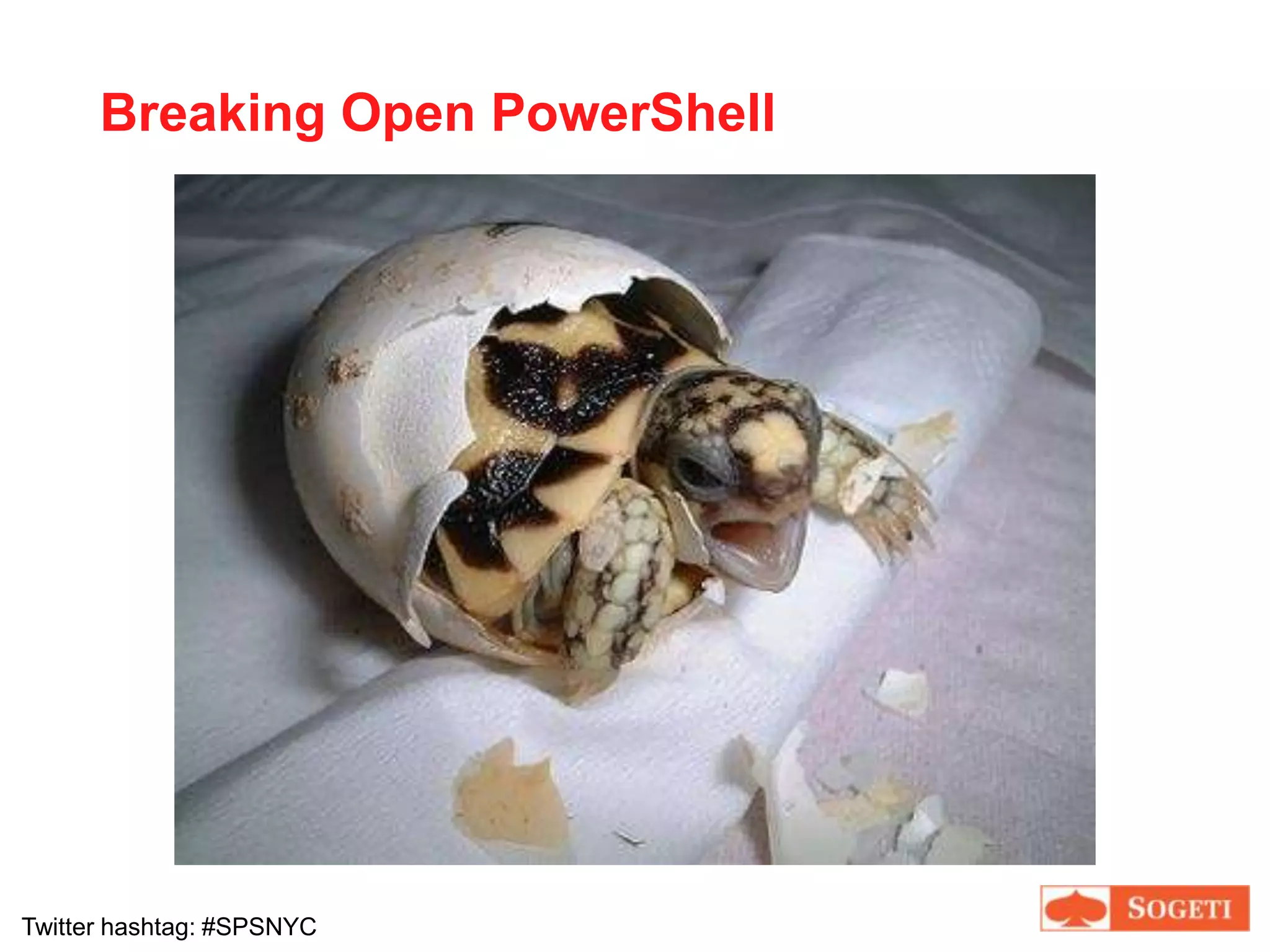 AgendaIntroduction to PowerShell