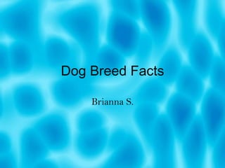 Dog Breed Facts Brianna S. 