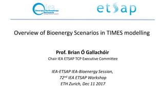 Overview of Bioenergy Scenarios in TIMES modelling
Prof. Brian Ó Gallachóir
Chair IEA ETSAP TCP Executive Committee
IEA-ETSAP IEA-Bioenergy Session,
72nd IEA ETSAP Workshop
ETH Zurich, Dec 11 2017
 
