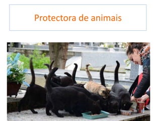Protectora de animais
 