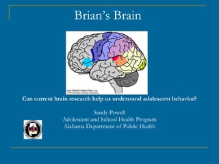 Brian’s Brain  Can current brain research help us understand adolescent behavior? Sandy Powell Adolescent and School Health Program Alabama Department of Public Health 