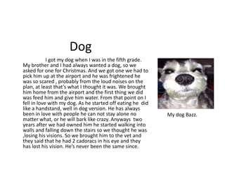 Dog
            I got my dog when I was in the fifth grade.
My brother and I had always wanted a dog, so we
asked for one for Christmas. And we got one we had to
pick him up at the airport and he was frightened he
was so scared , probably from the loud noises on the
plan, at least that’s what I thought it was. We brought
him home from the airport and the first thing we did
was feed him and give him water. From that point on I
fell in love with my dog. As he started off eating he did
like a handstand, well in dog version. He has always
been in love with people he can not stay alone no           My dog Bazz.
matter what, or he will bark like crazy. Anyways two
years after we had owned him he started walking into
walls and falling down the stairs so we thought he was
,losing his visions. So we brought him to the vet and
they said that he had 2 cadoracs in his eye and they
has lost his vision. He’s never been the same since.
 