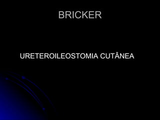 BRICKER ,[object Object]