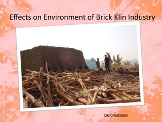 Effects on Environment of Brick Klin Industry




                             Deforestation
 