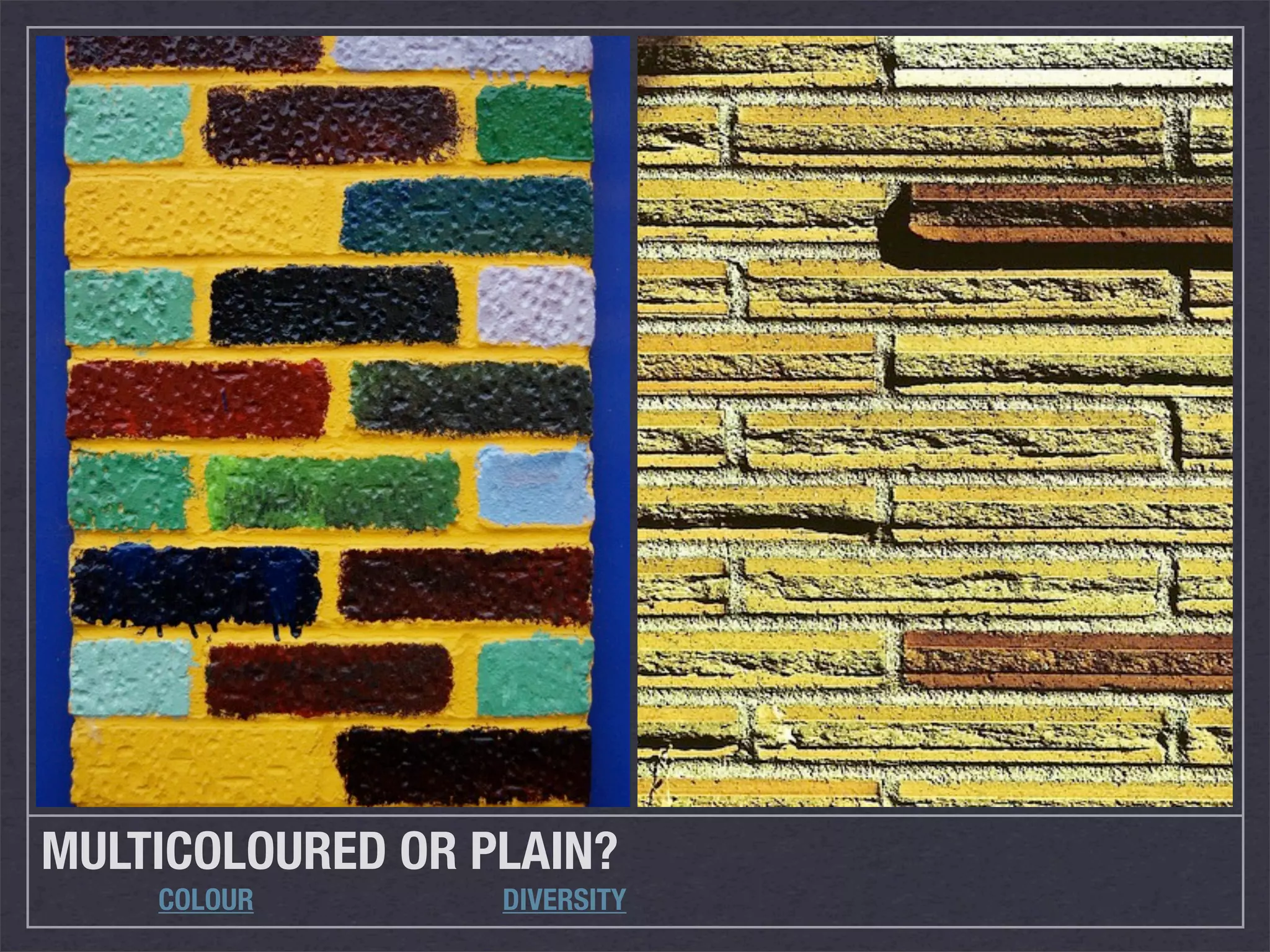 MULTICOLOURED OR PLAIN?
    COLOUR        DIVERSITY
 