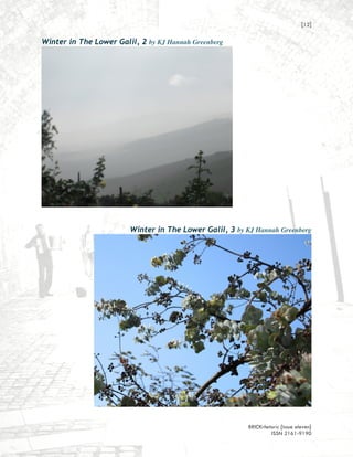 [12]

Winter in The Lower Galil, 2 by KJ Hannah Greenberg




                        Winter in The Lower Galil, 3 by KJ Hannah Greenberg




                                                         BRICKrhetoric {issue eleven}
                                                                  ISSN 2161-9190
 
