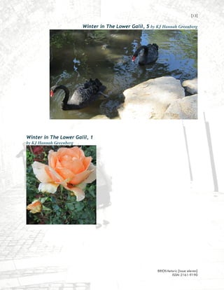 [13]

                         Winter in The Lower Galil, 5 by KJ Hannah Greenberg




Winter in The Lower Galil, 1
by KJ Hannah Greenberg




                                                          BRICKrhetoric {issue eleven}
                                                                   ISSN 2161-9190
 