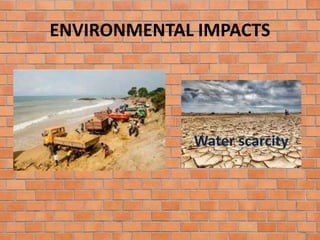 ENVIRONMENTAL IMPACTS
 
