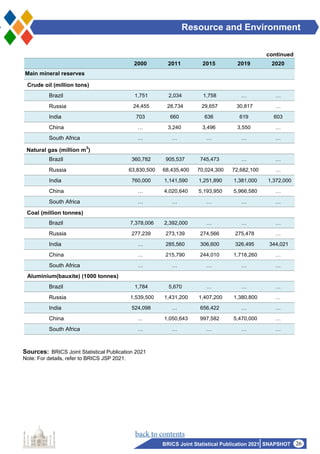 BRICS Joint Statistical 2021 | PDF