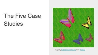 The Five Case
Studies
Image by PublicDomainPictures from Pixabay
 