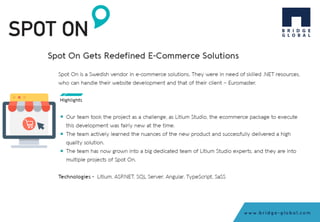 Company Presentation- Bridge Global