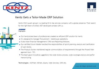 Company Presentation- Bridge Global