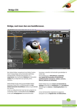 Bridge CS5                                                                                        Photoshop CS5




Bridge, veel meer dan een beeldbrowser.




Met Adobe Bridge, meegeleverd met Adobe Creative        toevoegen, waardoor de bestanden gemakkelijker te
Suite 5-toepassingen, kan je bestanden (pdf, fotos,     vinden zijn.
tekstbestanden, InDesign-documenten, e.a...)            Vanuit Bridge kan je afbeeldingen, paginalay-
organiseren, door bestanden bladeren en bestanden       out, Adobe PDF-bestanden en dynamische
zoeken die je nodig hebt voor opmaak, prints,           mediabestanden weergeven, zoeken, sorteren,
websites,...                                            filteren, beheren en verwerken.

Adobe Bridge houdt zowel oorspronkelijke Adobe-         Adobe Bridge laat je toe namen van bestanden te
bestanden (zoals PSD- en PDFbestanden) als niet-        wijzigen, bestanden te verplaatsen en te verwijderen;
Adobe-bestanden beschikbaar zodat je ze gemakkelijk     afbeeldingen te roteren; en batchopdrachten uit te
kan openen.                                             voeren.
Je kan zo nodig elementen naar lay-outs, projecten en
composities slepen, voorbeeldbestanden bekijken.        Je kan ook bestanden importeren en gegevens
Je kan zelfs metagegevens (bestandsinformatie)          weergeven van uw digitale foto- of videocamera.



                                                                                                            9



                                                                                               CVO Heusden - Zolder
 