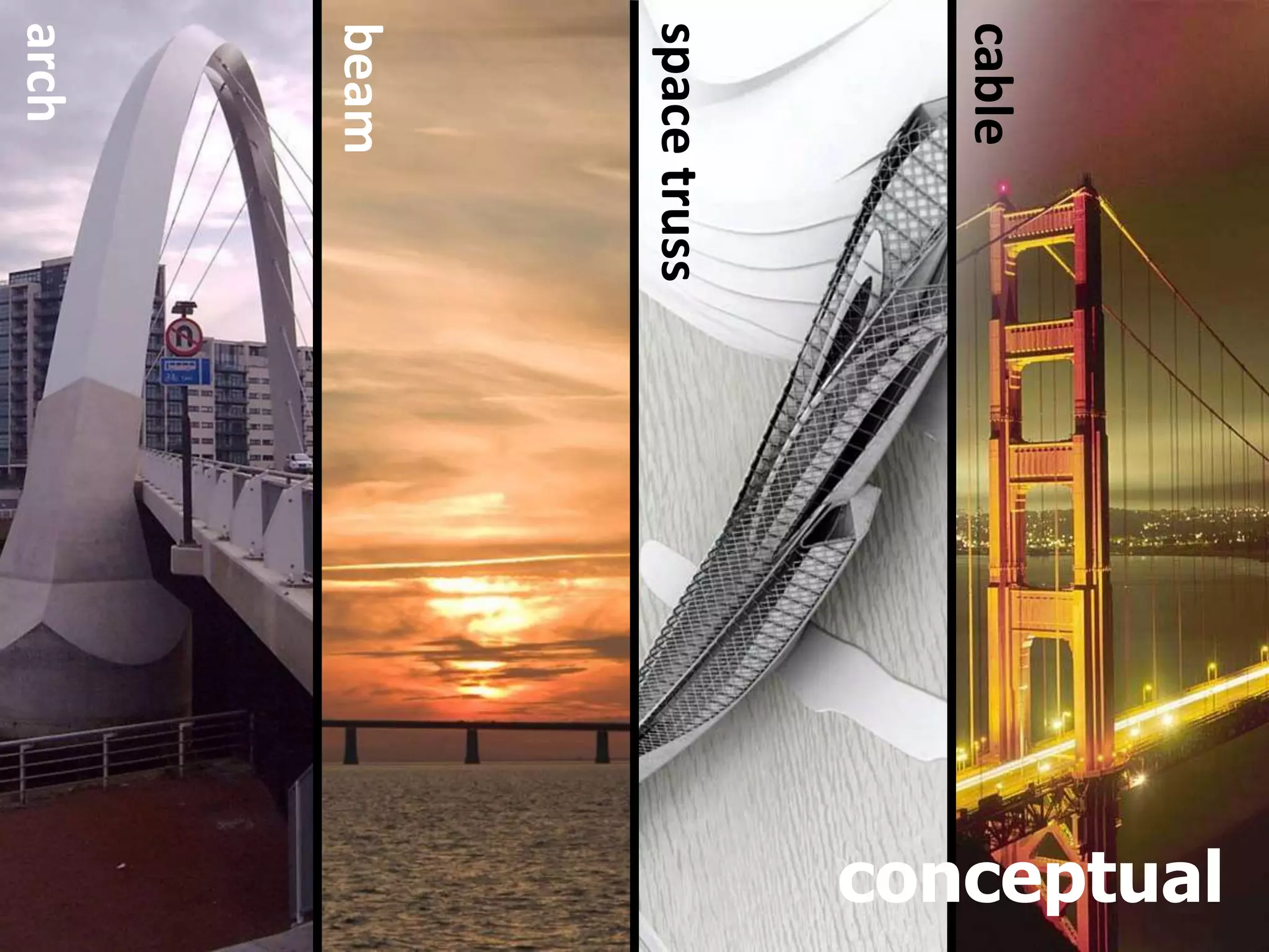 digital terrain model