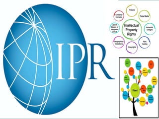 IPR's Introduction to IPRs | PPT